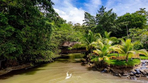 un puente sobre un río con palmeras a un lado en Hosteria Cumilinche en Same