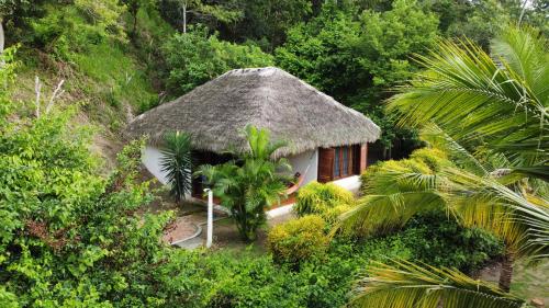 Hosteria Cumilinche في سيم: منزل صغير بسقف من القش في الغابة