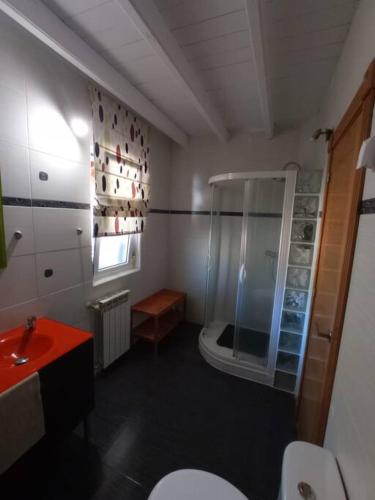 a bathroom with a shower and a toilet and a sink at La casa de Cristina in El Dueso