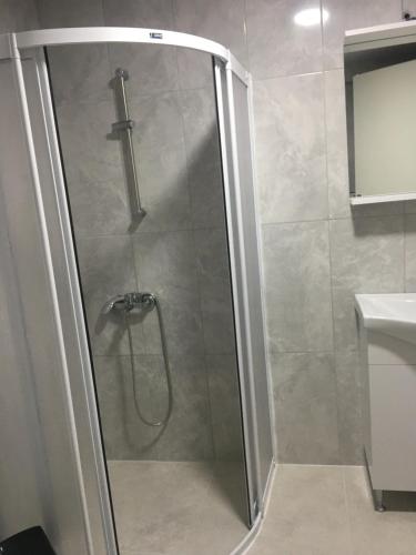 een douche met een glazen deur in de badkamer bij Geyikli Lotus Apart in Canakkale