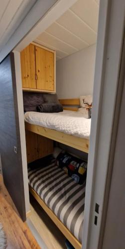 ein Schlafzimmer mit einem Etagenbett in einem Zimmer in der Unterkunft Appartement Montagne in Saint-François-Longchamp