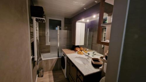 une petite salle de bain avec un lavabo et une douche dans l'établissement Appartement Montagne, à Saint-François-Longchamp