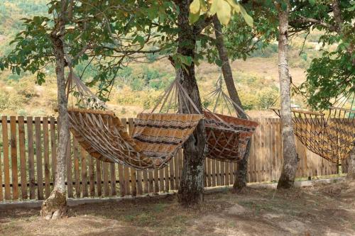 Deux hamacs suspendus à deux arbres à côté d'une clôture dans l'établissement Racha Twins, à Nikortsminda