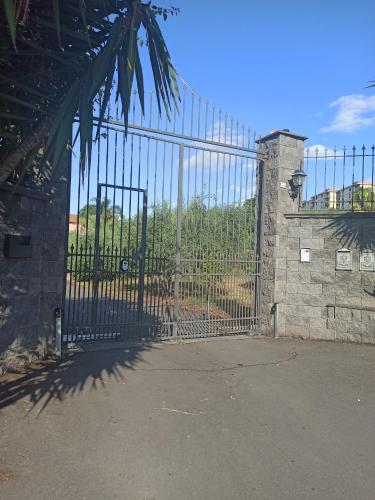 a metal gate with a palm tree in front of it at La Circumetnea Home in Catania