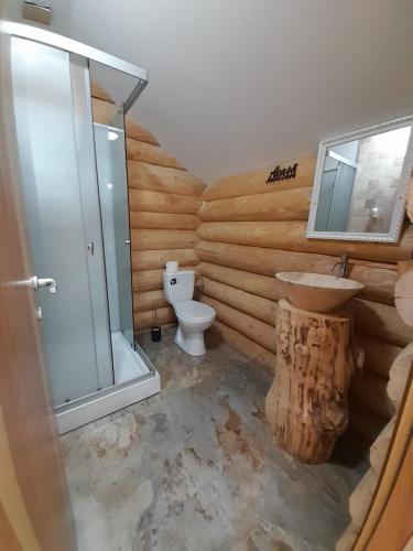 a bathroom with a shower and a sink and a toilet at CABANA BELVEDERE in Borşa