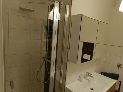 a bathroom with a shower and a sink and a mirror at FeWo Bismarck 32 - 1Raum in Stendal