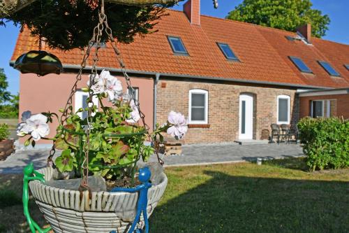 a flower basket hanging from a tree in front of a house at Ferienwohnungen Udars auf Rügen in Udars