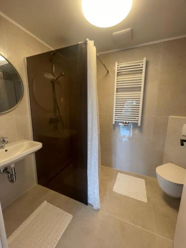 a bathroom with a shower and a toilet and a sink at Fancy Blue Moderne Wohnung mit sehr großem Garten in Gerasdorf bei Wien
