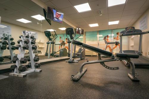a gym with cardio equipment and a wall with a painting at Holiday Inn Mayaguez & Tropical Casino by IHG in Mayaguez