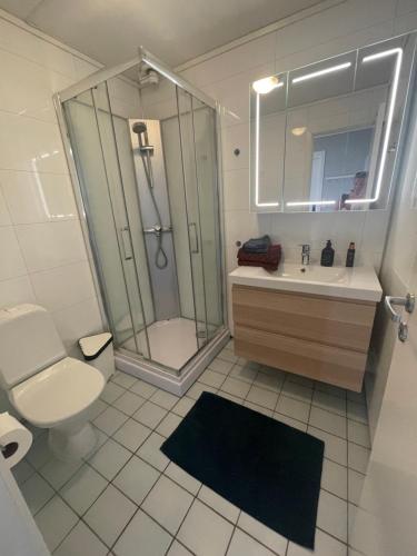 a bathroom with a shower and a toilet and a sink at Leilighet ved Ladestien in Trondheim