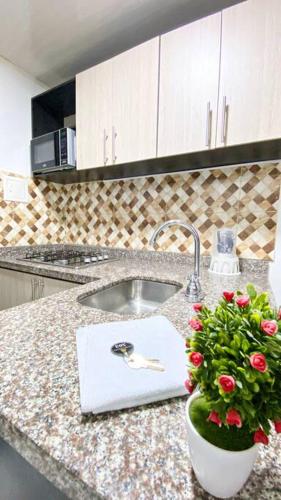 a kitchen with a sink and a plant on a counter at Apartahotel 222 Apartamento 503 in Pereira