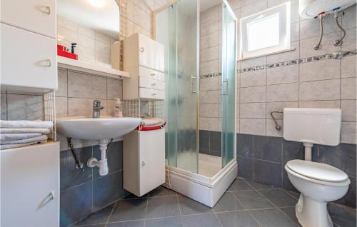 a bathroom with a toilet and a sink and a shower at Awesome Home In Kustici With Kitchen in Kustići
