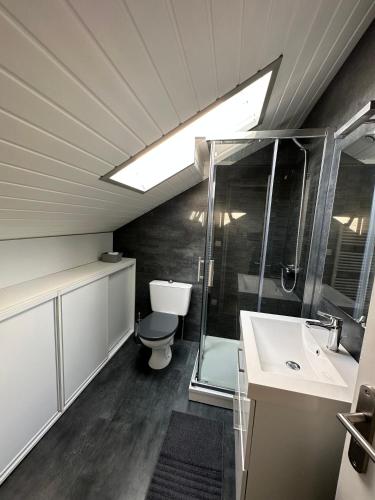 une salle de bain avec une douche, des toilettes et un lavabo dans l'établissement La maison du chêne 3, à Miniac-Morvan