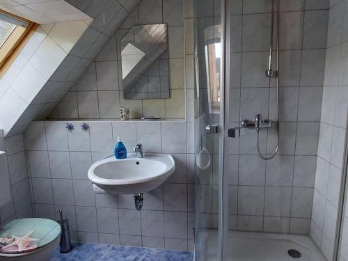 a bathroom with a sink and a shower at Cosy Apartment Ostsee in Zierow with Terrace in Zierow