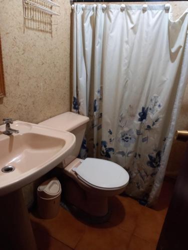 a bathroom with a toilet and a sink and a shower curtain at Cabañas Cristobal in Licán Ray
