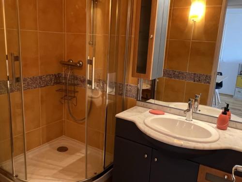 une salle de bain avec douche et lavabo dans l'établissement Appartement 2P, Rez-de-jardin, Accès Plage, Animaux OK, Parking, Internet Inclus - FR-1-487-355, à Cabourg