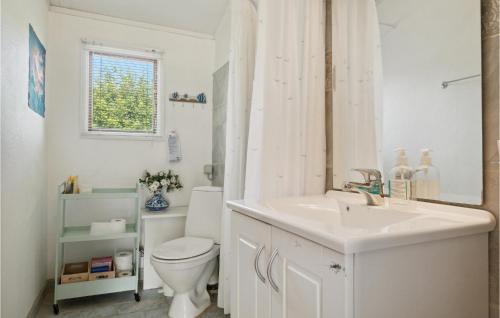 uma casa de banho branca com um WC e um lavatório em Nice Home In Or With House Sea View em Orø