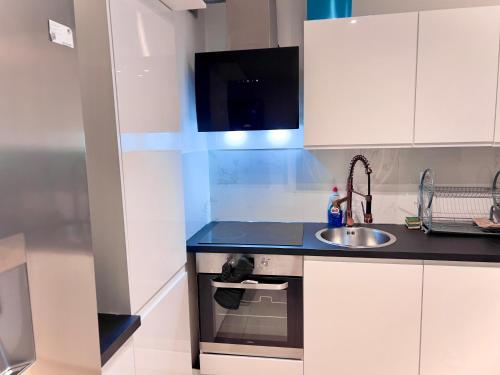 a kitchen with a sink and a counter top at Luxury design apartment in Ostend