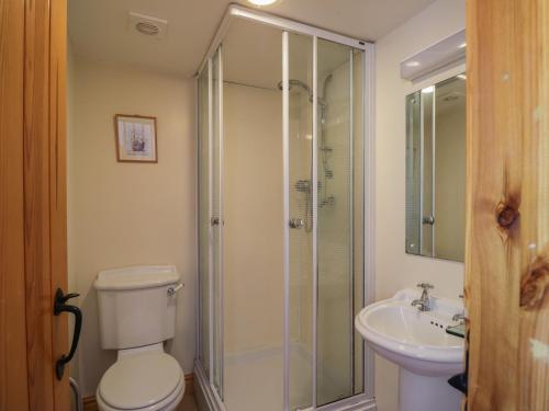 een badkamer met een douche, een toilet en een wastafel bij Wren's Nest in Keswick