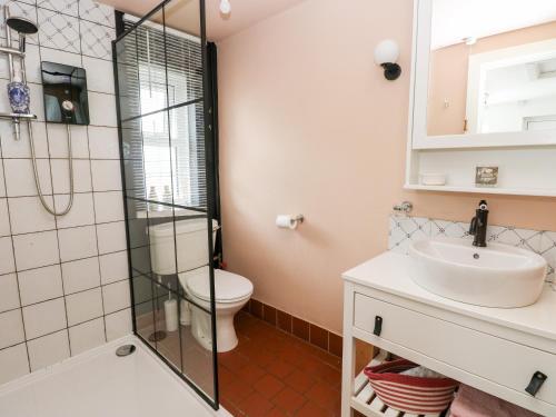 a bathroom with a shower and a toilet and a sink at 3 Bridge Villas in Narberth