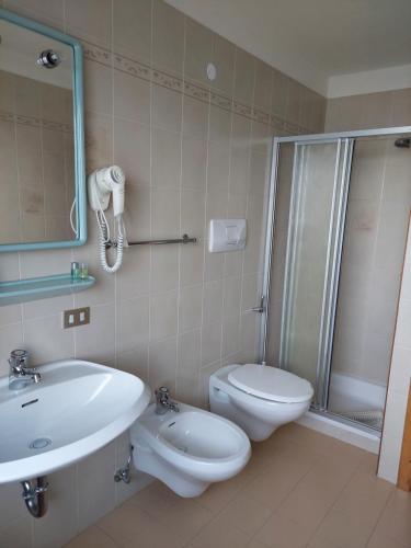 een badkamer met een wastafel, een toilet en een douche bij Albergo Scoiattolo in Tret