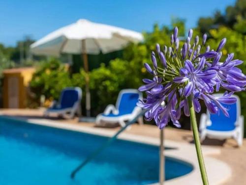 Zdjęcie z galerii obiektu Chalet méditerranéen avec piscine, jardin et Wi-Fi près de la plage à Santa Margalida - ES-266-3 w mieście Santa Margalida