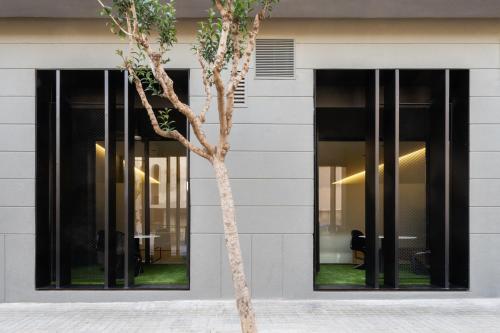 a tree in front of a building with windows at Cosy Loft's Valencia in Catarroja