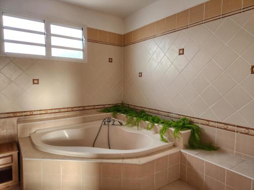 La salle de bains est pourvue d'une baignoire et d'une fenêtre. dans l'établissement Villa PANAM' chez R'Marine439 locations saisonnières, à Sainte-Rose
