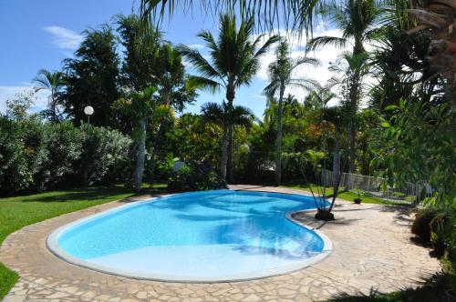 a swimming pool in a yard with palm trees at La Perle du Sable Blanc in Saint-Gilles les Bains