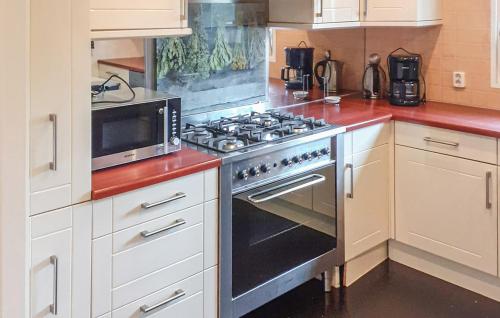 a kitchen with a stove and a microwave at Stellechalets op Vakantiepark Stelleplas - Heinkenszand in Heinkensand