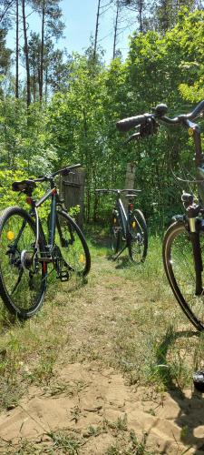 two bikes parked in the grass in a field at Ośrodek Wypoczynkowy Nad Brdą in Tuchola