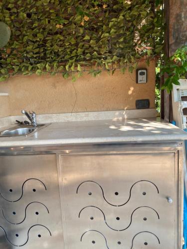 ein Waschbecken und eine Theke mit einer Hecke darüber in der Unterkunft Graziosa Casetta nel cuore di Porto Ottiolu in Porto Ottiolu