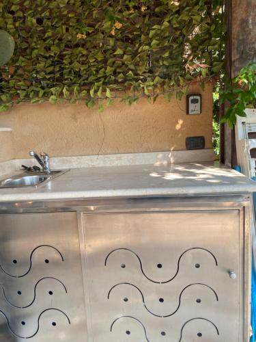 a sink and a counter with a hedge on top of it at La casa degli Ibiscus in Porto Ottiolu