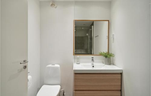 a bathroom with a sink and a toilet and a mirror at Stunning Apartment In Helsingr With Wifi in Helsingør