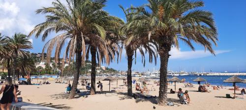 people on a beach with palm trees and the water at Le Lavandou 6 pers. + parking privé + terrasse (au calme) in Le Lavandou