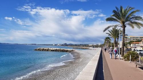 people walking along a beach with palm trees and the ocean at Magnifique 2 pièces, jardin et parking in Saint-Laurent-du-Var