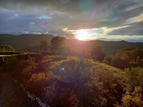 Gallery image of La Pantoufle Verte in Montauriol