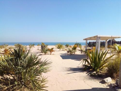 a sandy beach with a pavilion and plants at Cytyz Appart Hôtel in Mahajanga