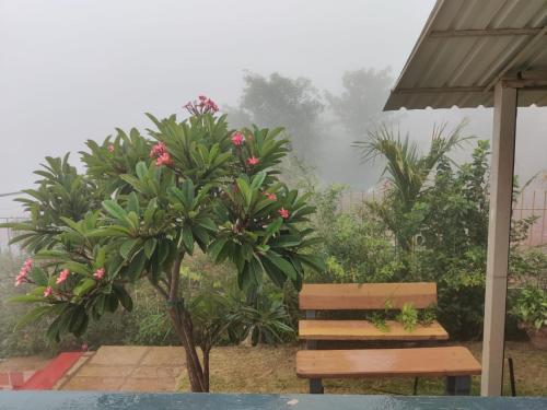 a wooden bench sitting next to a tree with flowers at Hilltop Resort and Glamping Wai, Near Panchgani in Wai