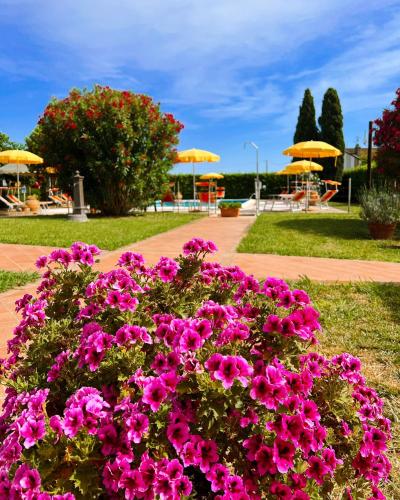 Podere Casalpiano – Photos 3