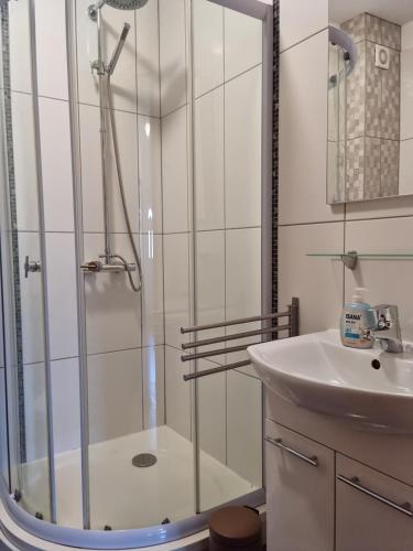 La salle de bains est pourvue d'une douche et d'un lavabo. dans l'établissement Appartments D&D, à Peroj