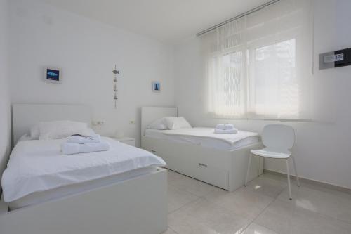 Apartment Vengust