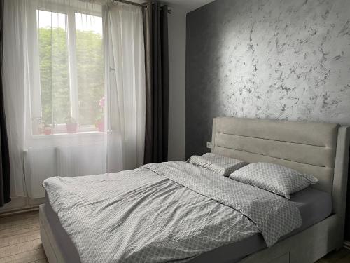 1 cama en un dormitorio con ventana y colcha en Ary apartments, en Ocna-Mureşului