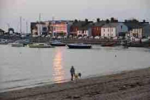 a person and a dog on a beach with boats at Seaview Terrace in Skerries