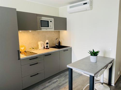 Kuchyň nebo kuchyňský kout v ubytování Apartement Aisa