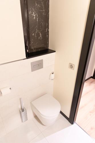 a bathroom with a white toilet and a mirror at Suite Montrachet 4 personnes vue cathédrale 1 Place de parking in Dijon