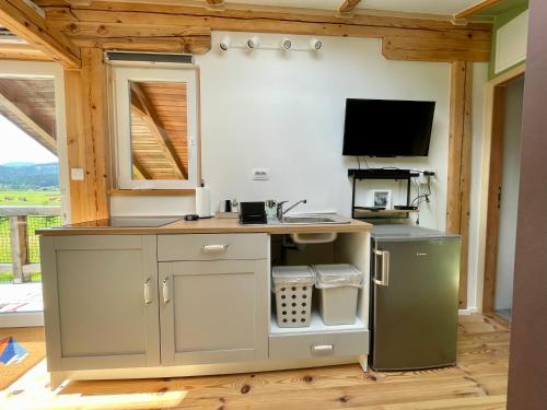 a kitchen with a counter and a tv in a room at Mini Loft close to Logar Valley in Rečica ob Savinji