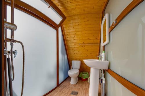 a bathroom with a toilet and a sink at Pensiunea La Maria Lu' Sandoiu in Poenari