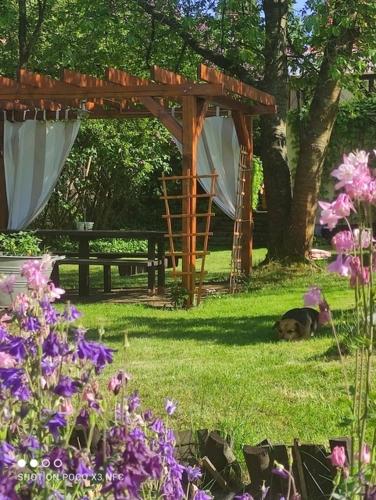 a dog laying in the grass next to a pergola at Domek i pokoje Wilkasy in Wilkasy