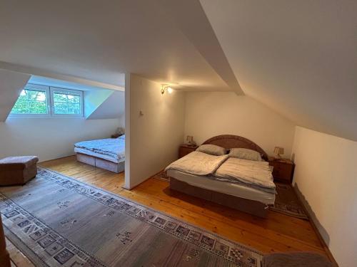 1 dormitorio con 2 camas en un ático en Penzión Odysea en Vinné